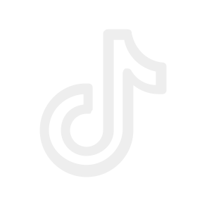 TikTok icon